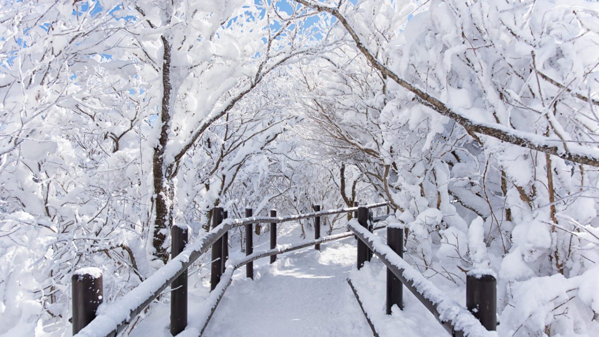 Winter
