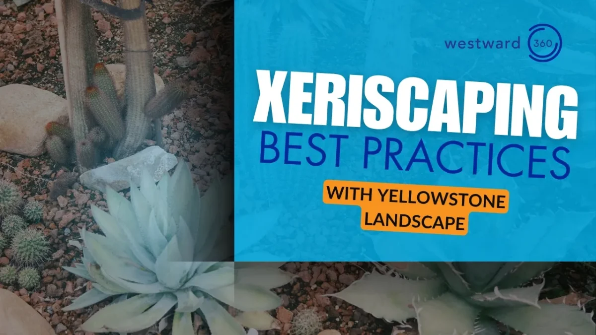 Xeriscaping Image
